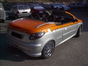 Peugeot 106  (25)